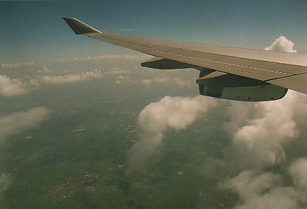 Wing View4.jpg (27049 bytes)