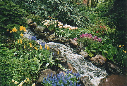 Keukenhof - Waterfall.jpg (90117 bytes)