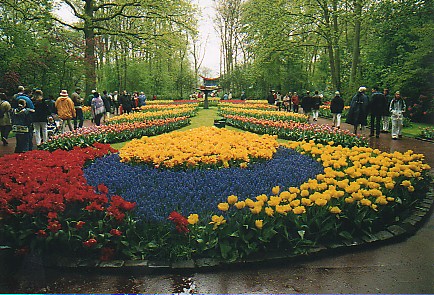 Keukenhof.jpg (78785 bytes)