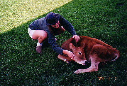 Charly Petting Cow.jpg (75637 bytes)