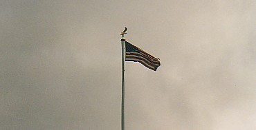 Flag w Clouds.jpg (10432 bytes)