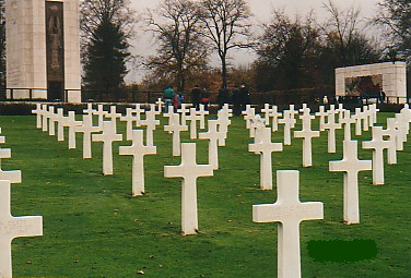 crosses2.jpg (45947 bytes)