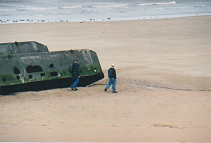 Remnants on Beach - TJ N Len.jpg (39874 bytes)