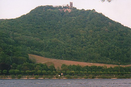 Castle on Rhine.jpg (49642 bytes)